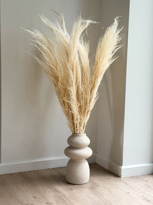 Balintų Pampas Smilgų Puokštė Kartu Su Vaza