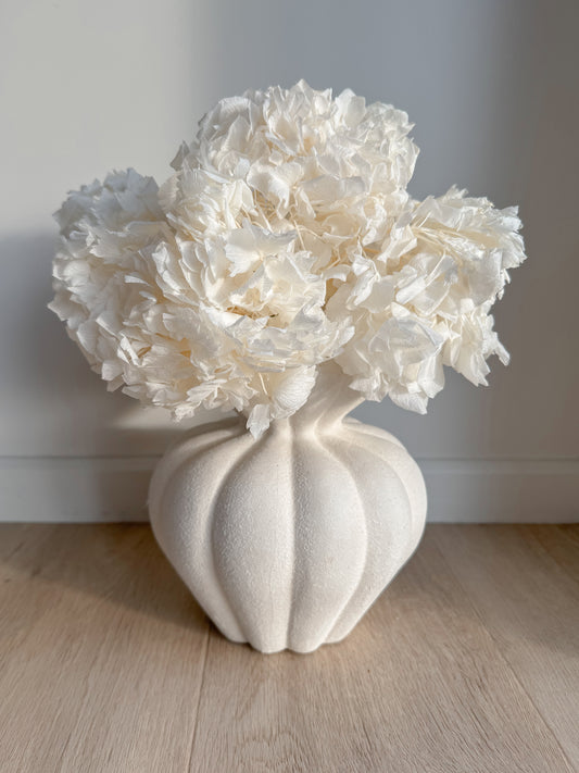 Stabilizuota Balinta Hortenzijų Puokštė