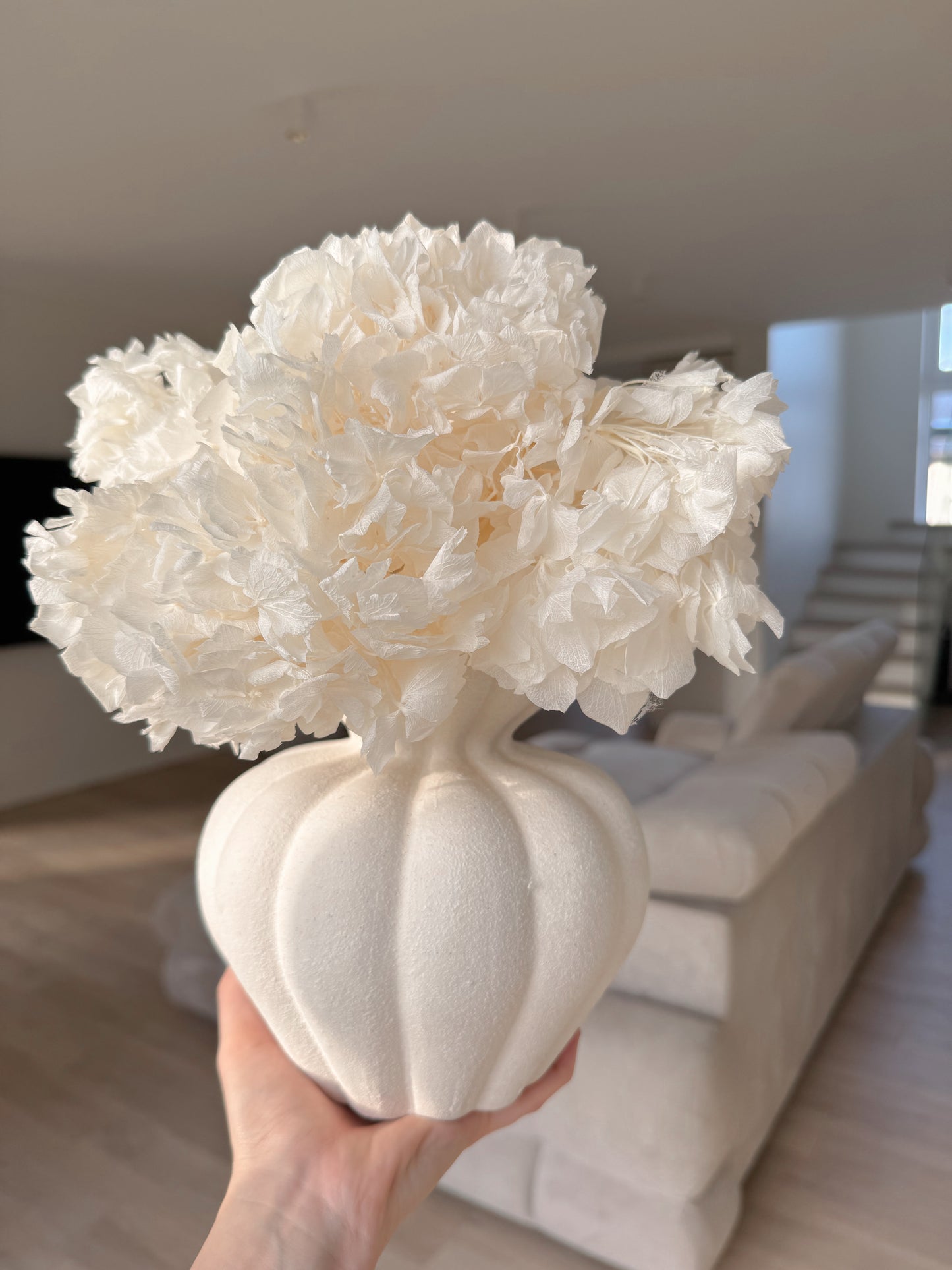 Stabilizuota Balinta Hortenzijų Puokštė