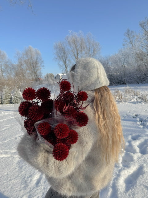 Burgundiškas Bandrenis