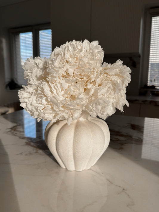 Stabilizuota Balinta Hortenzijų Puokštė