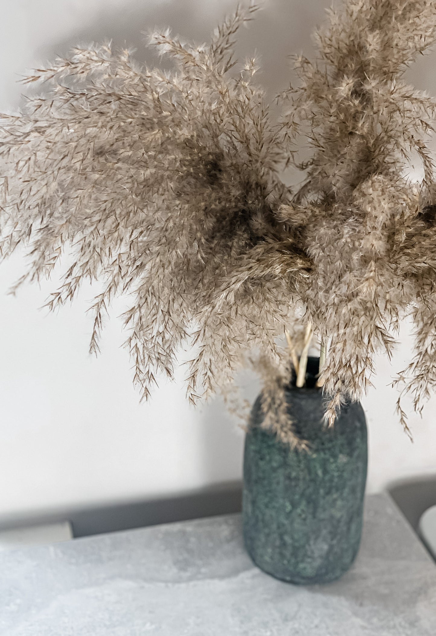 Pampos Natūralios Spalvos 5 vnt.