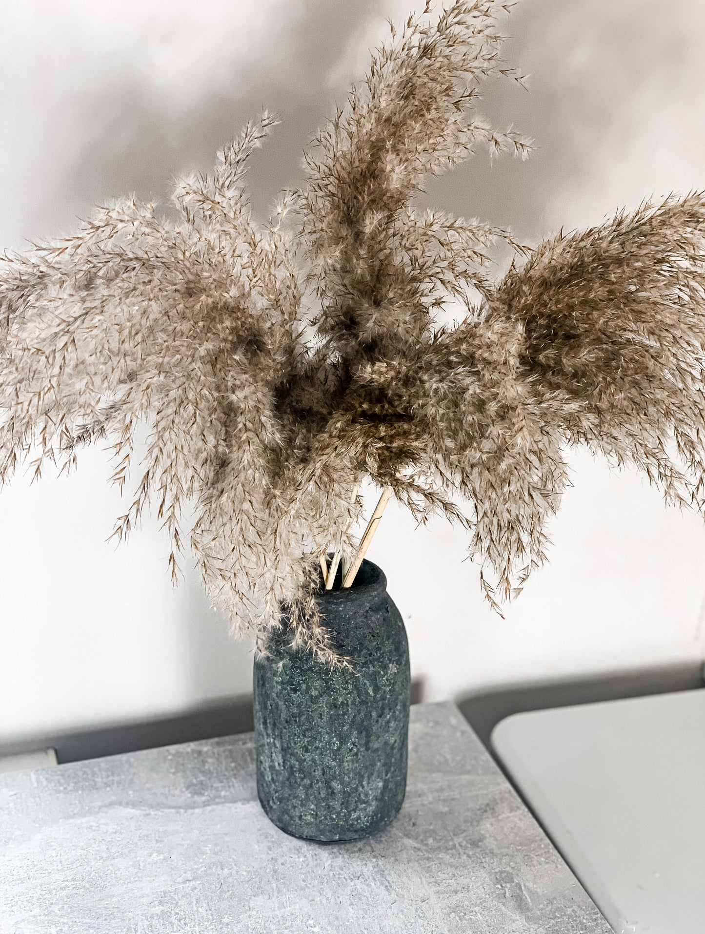 Pampos Natūralios Spalvos 5 vnt.