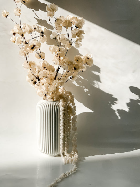 Balinta Bugenvilijų Puokštė